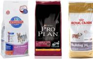 Рейтинг сухих кормов для собак: выбор корма для крупных и мелких пород Сухой корм для собак описание